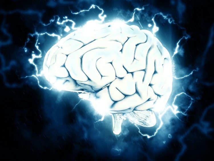 Brain activity